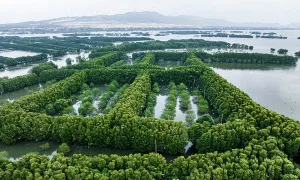 Mở hai tour du lịch đầm Thị Nại